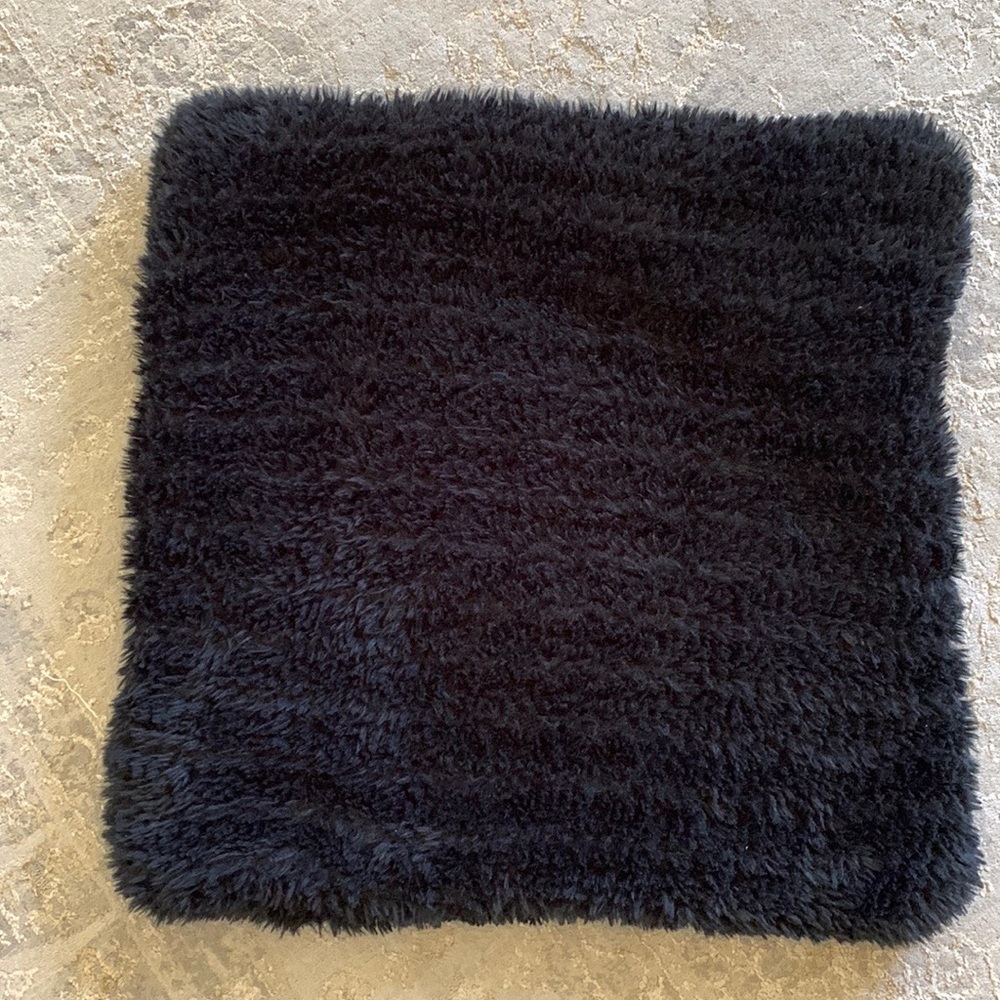 Pottery Barn 20” Pillow Cover